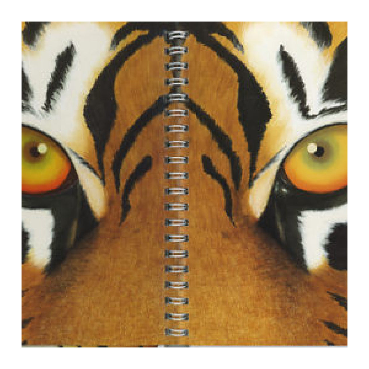 My First Discoveries – Tigre