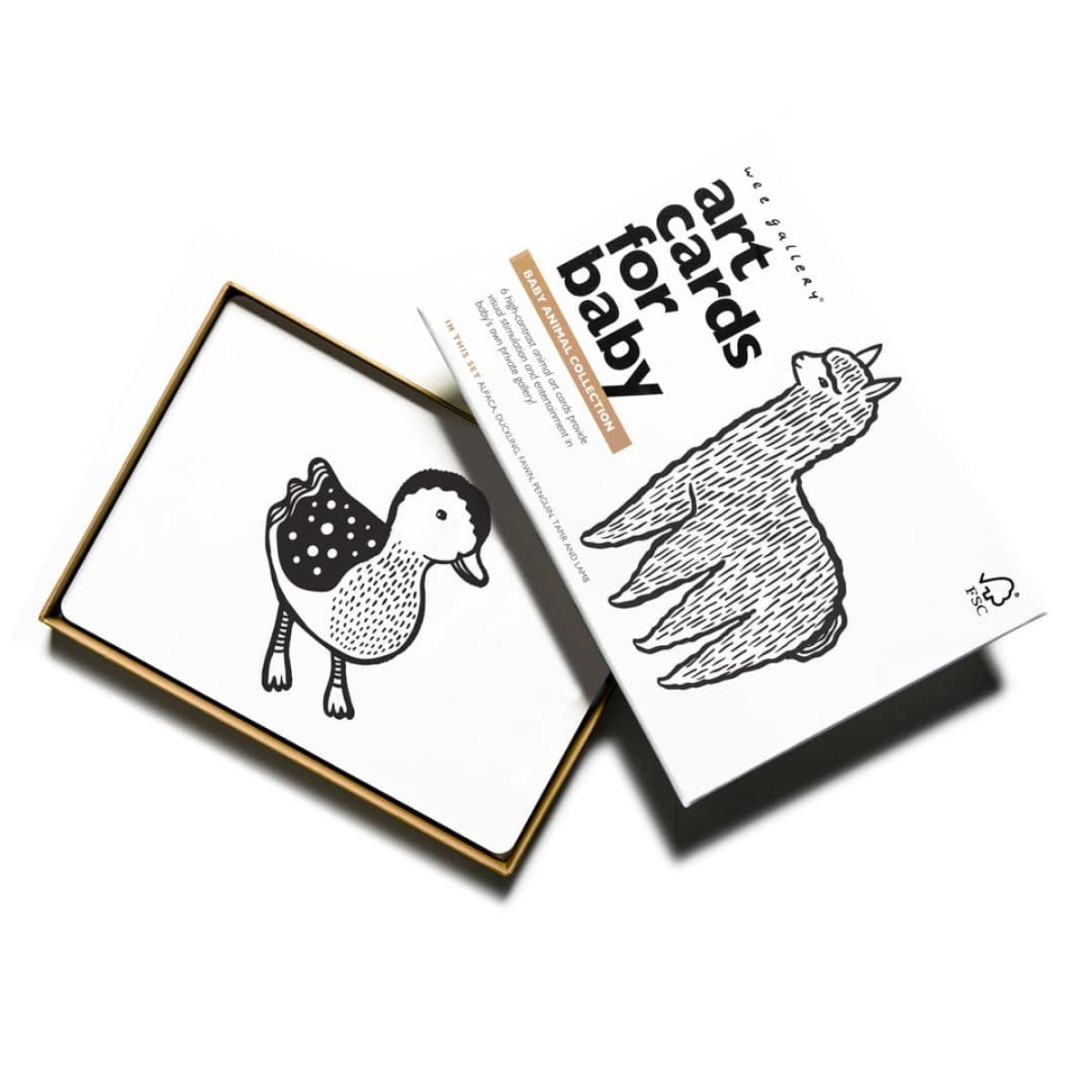 Cartões de Arte – Animais bebés