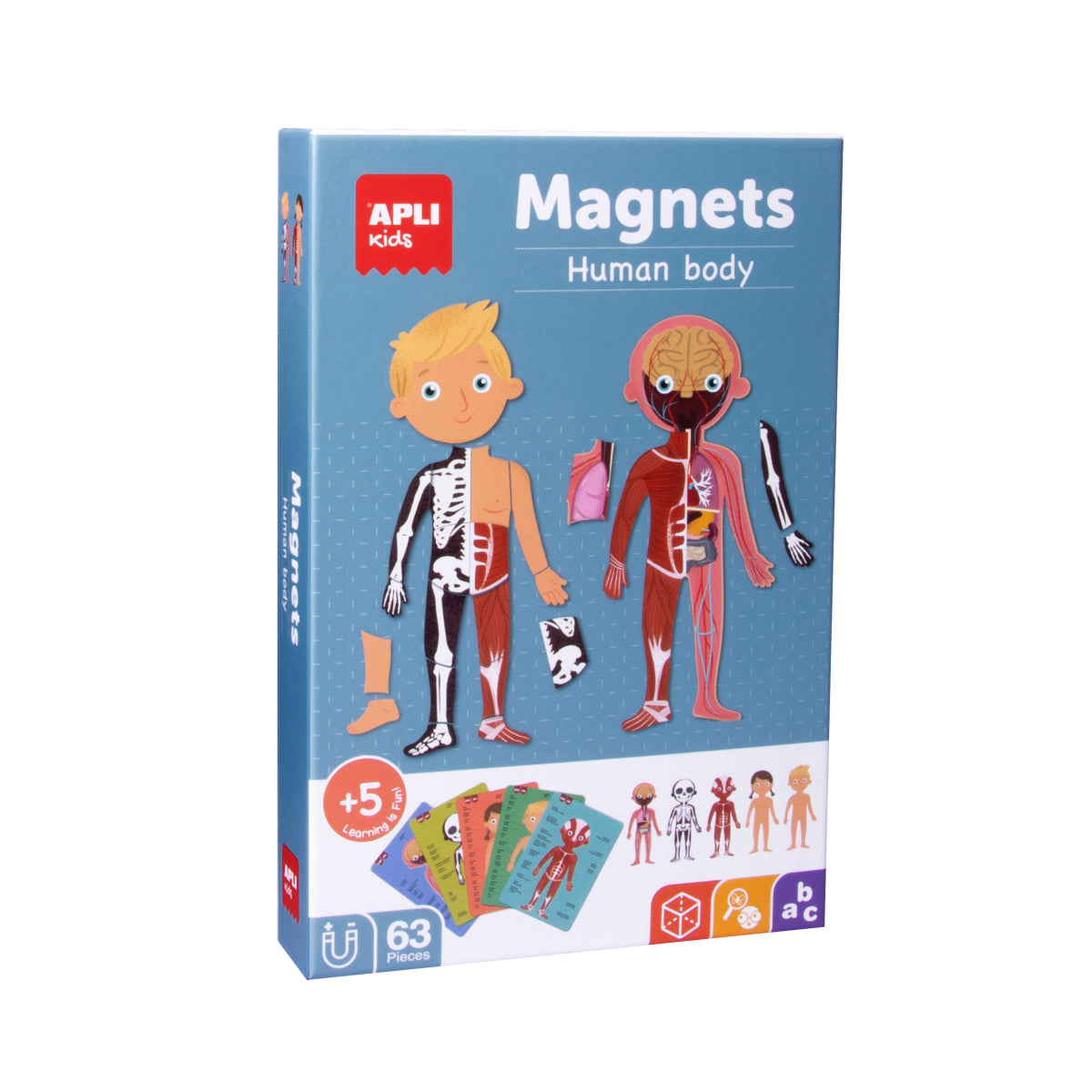Jogo magnético do corpo humano