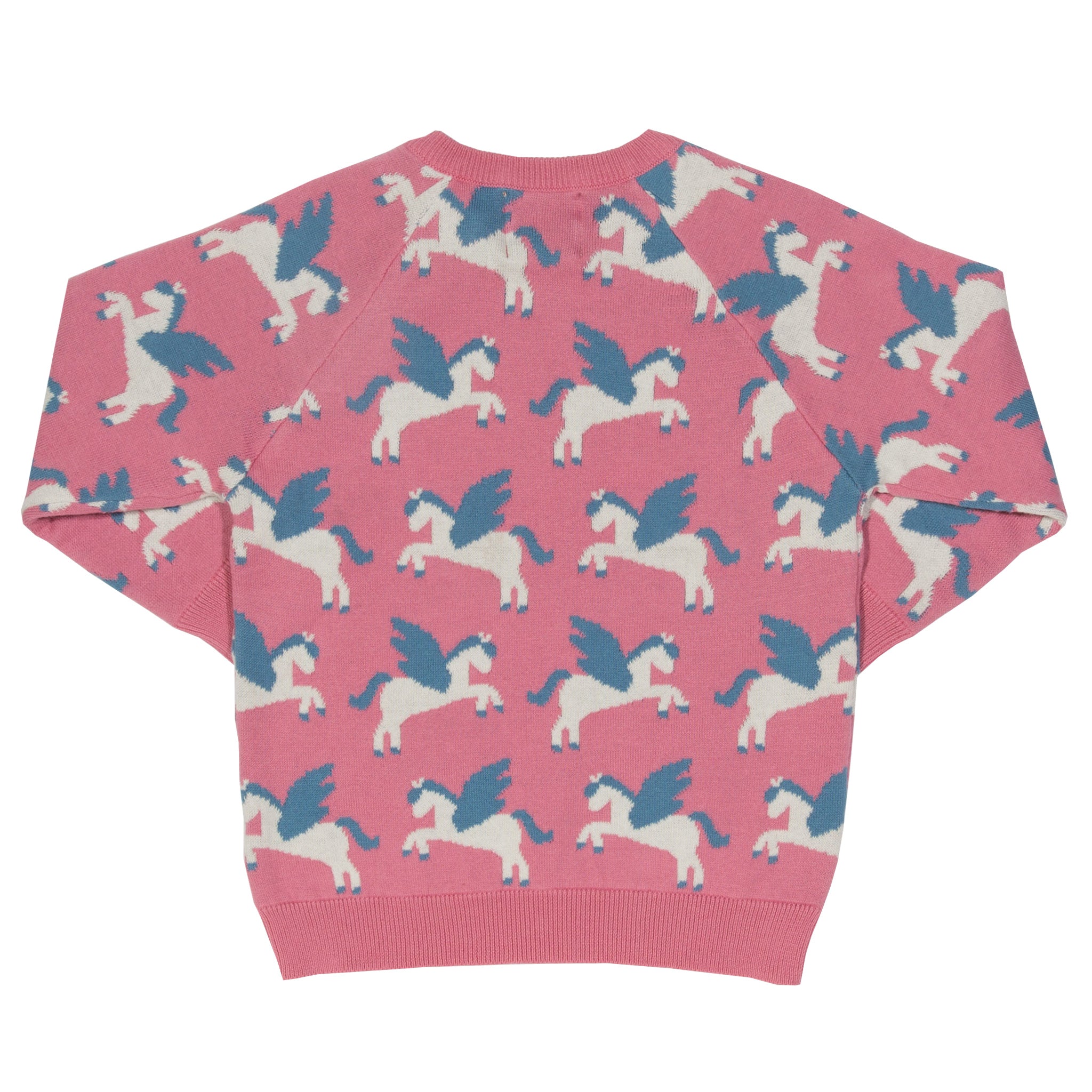 Camisola - cavalos voadores