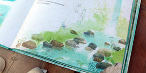 pormenores do livro infantil "A gota de água"