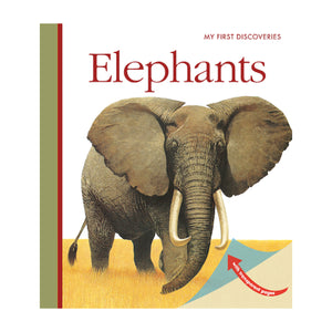 "My First Discoveries – Elephants" - capa do Livro Infantil em Inglês sobre Elefantes