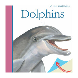 "My First Discoveries – Dolphins" - Capa do livro Infantil em Inglês sobre Golfinhos