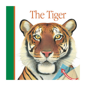"My First Discoveries – The Tiger" - Capa do Livro Infantil em Inglês sobre Tigres