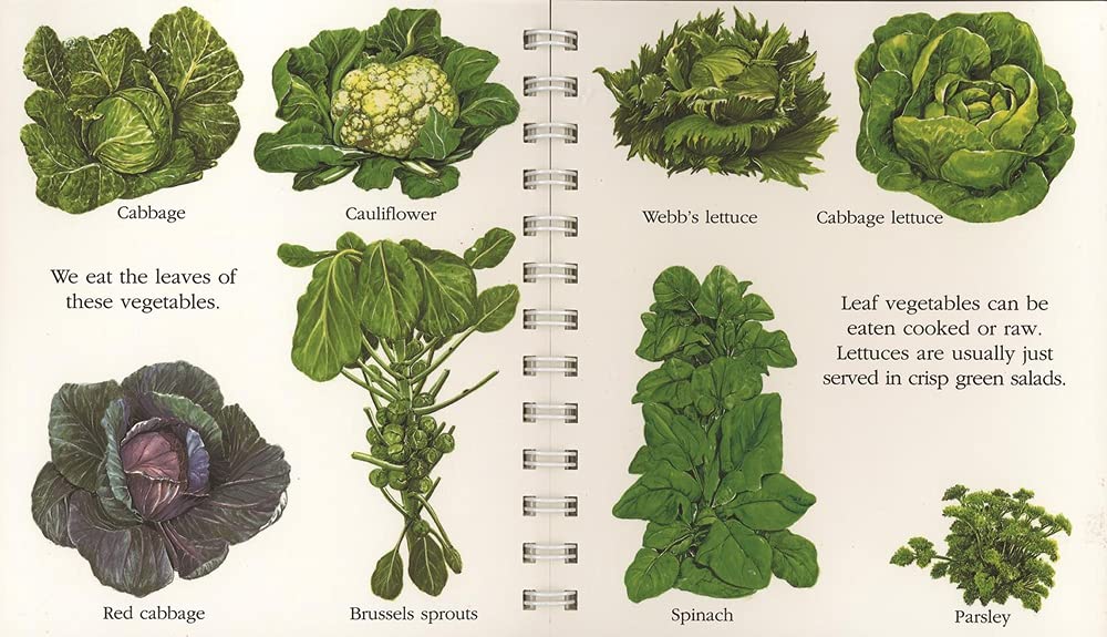 "My First Discoveries – Vegetables" - interior livro infantil em inglês sobre vegetais