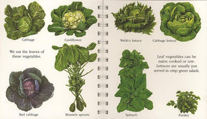 "My First Discoveries – Vegetables" - interior livro infantil em inglês sobre vegetais