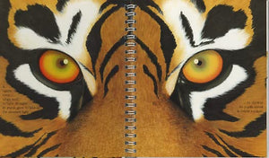"My First Discoveries – The Tiger" - interior do Livro Infantil em Inglês sobre Tigres