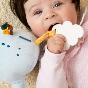 bebé a brincar com peluche com Mordedor em forma de coala