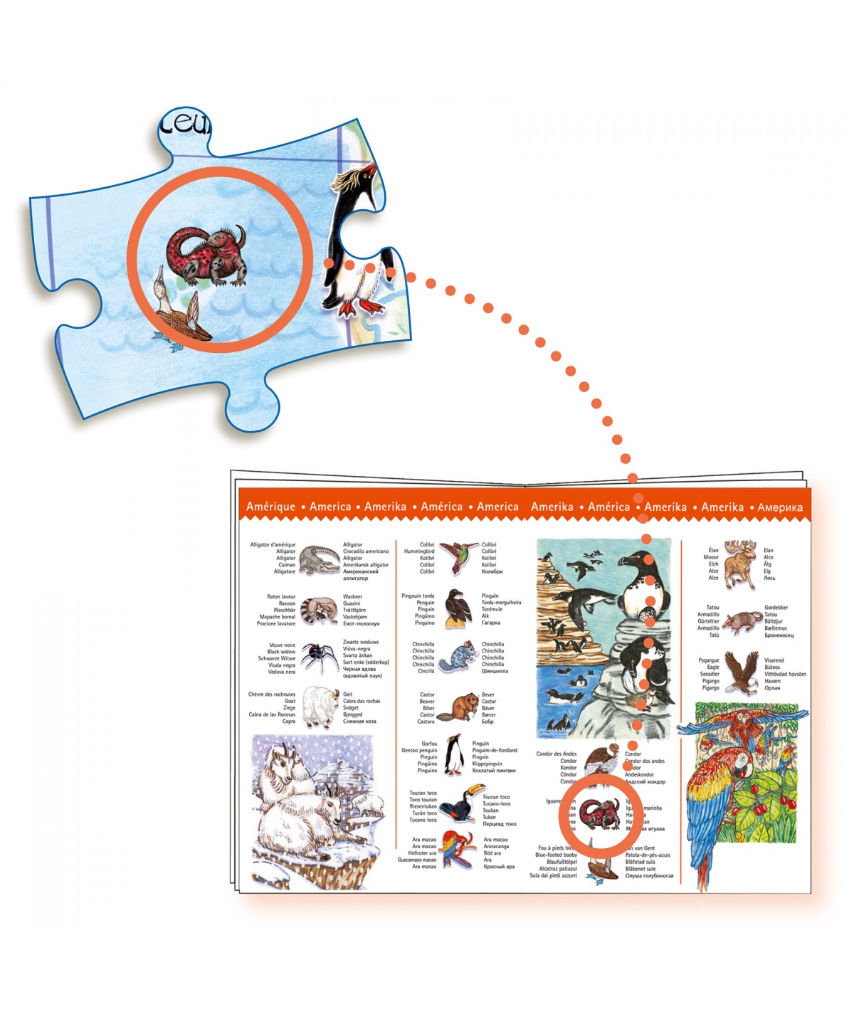 Puzzle animais do mundo