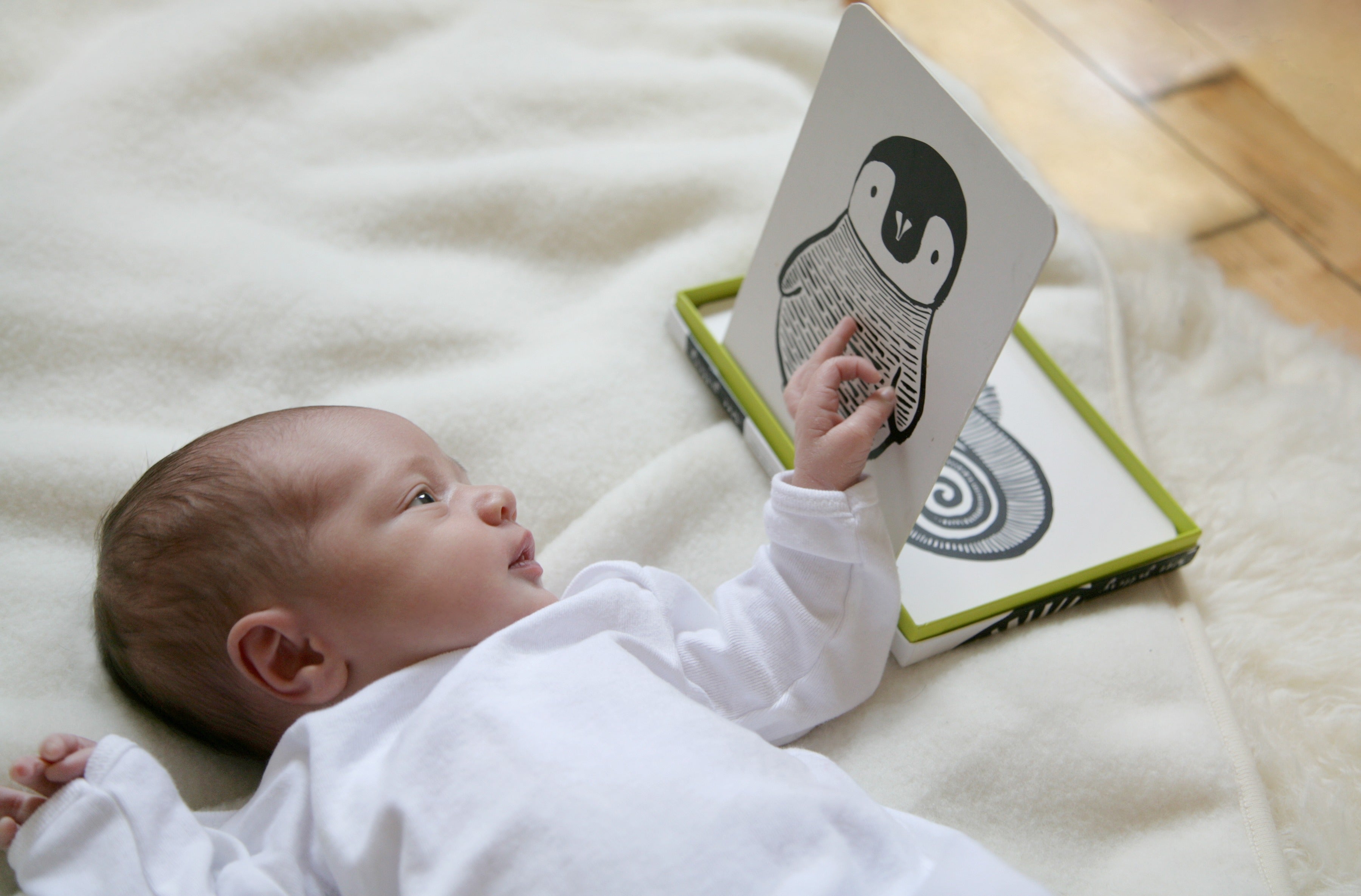 Cartões de arte - Floresta tropical