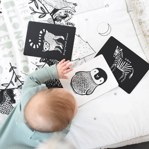 Bebé a brincar com os Cartões de alto contraste da coleção preto e branco