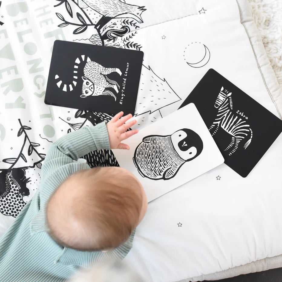 Bebé a brincar com os Cartões de alto contraste da coleção preto e branco