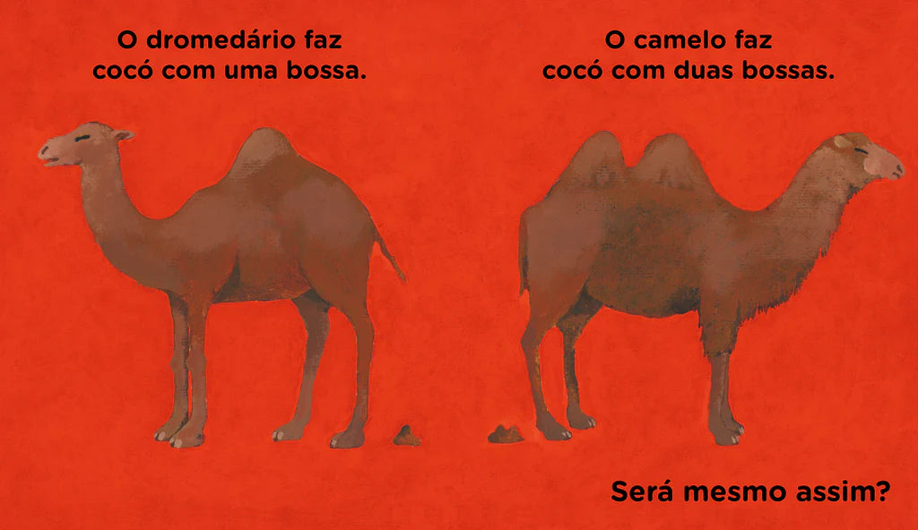 Exemplo do interior do livro "Todos fazemos cocó"