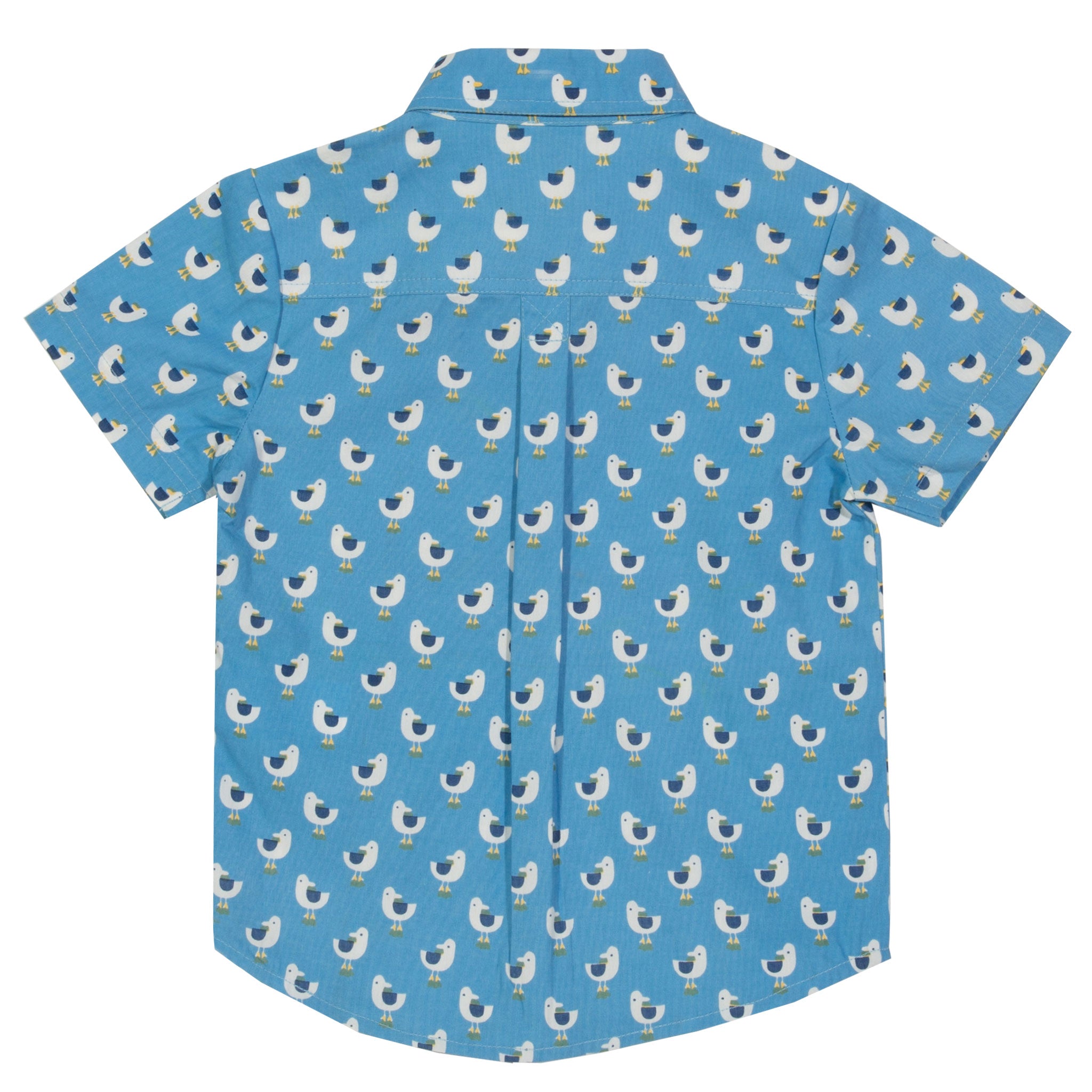Parte de trás da Camisa de Manga Curta para Menino com padrão de Gaivotas da marca Kite