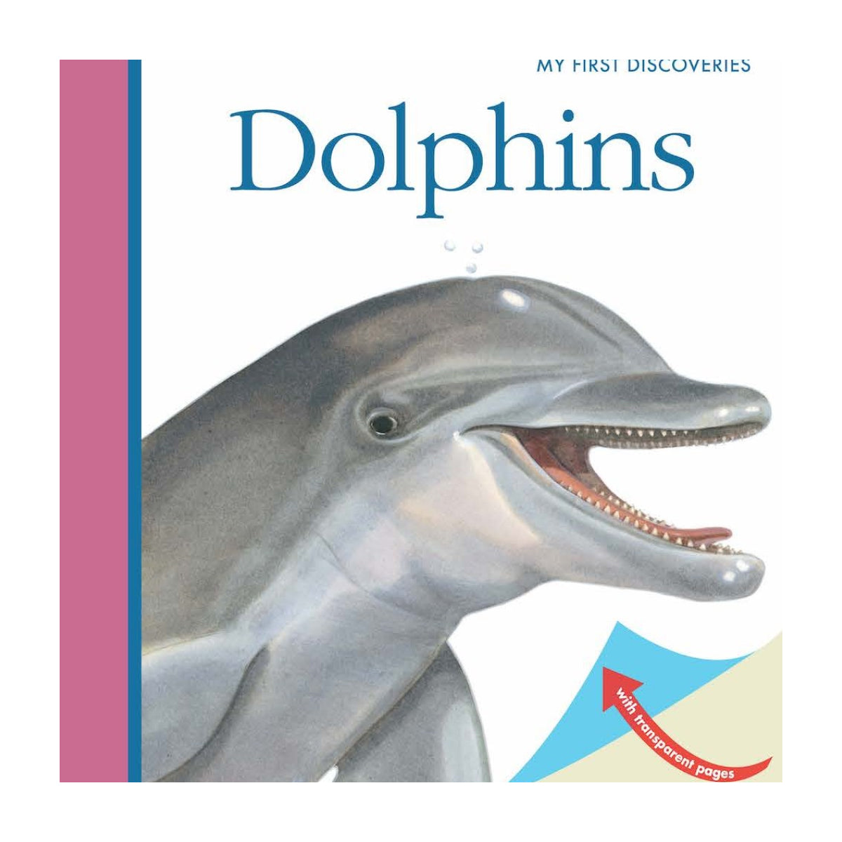 "My First Discoveries – Dolphins" - Capa do livro Infantil em Inglês sobre Golfinhos