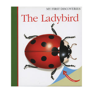 "My First Discoveries – The Ladybird" - capa do livro Infantil em Inglês sobre Joaninhas