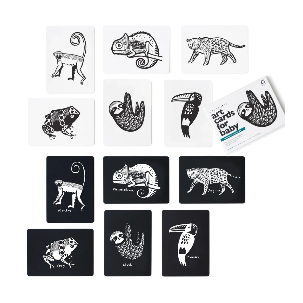animais que estão incluídos nos cartões de alto contraste para bebés com tema Floresta tropical