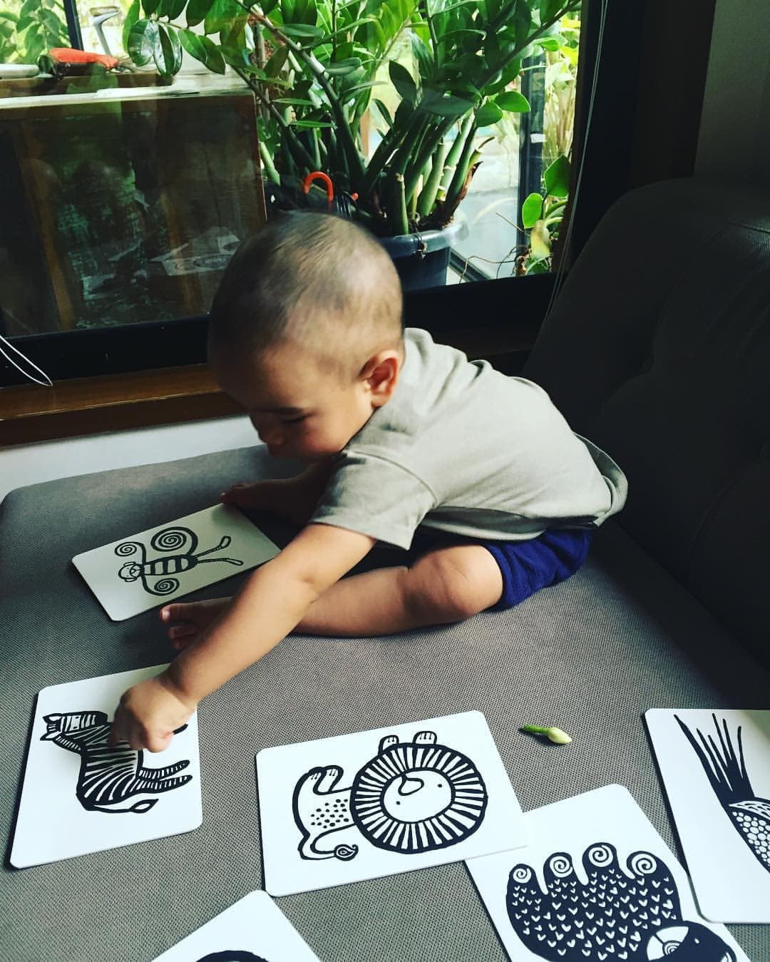 bebé a brincar com cartões de alto contraste com temática da selva