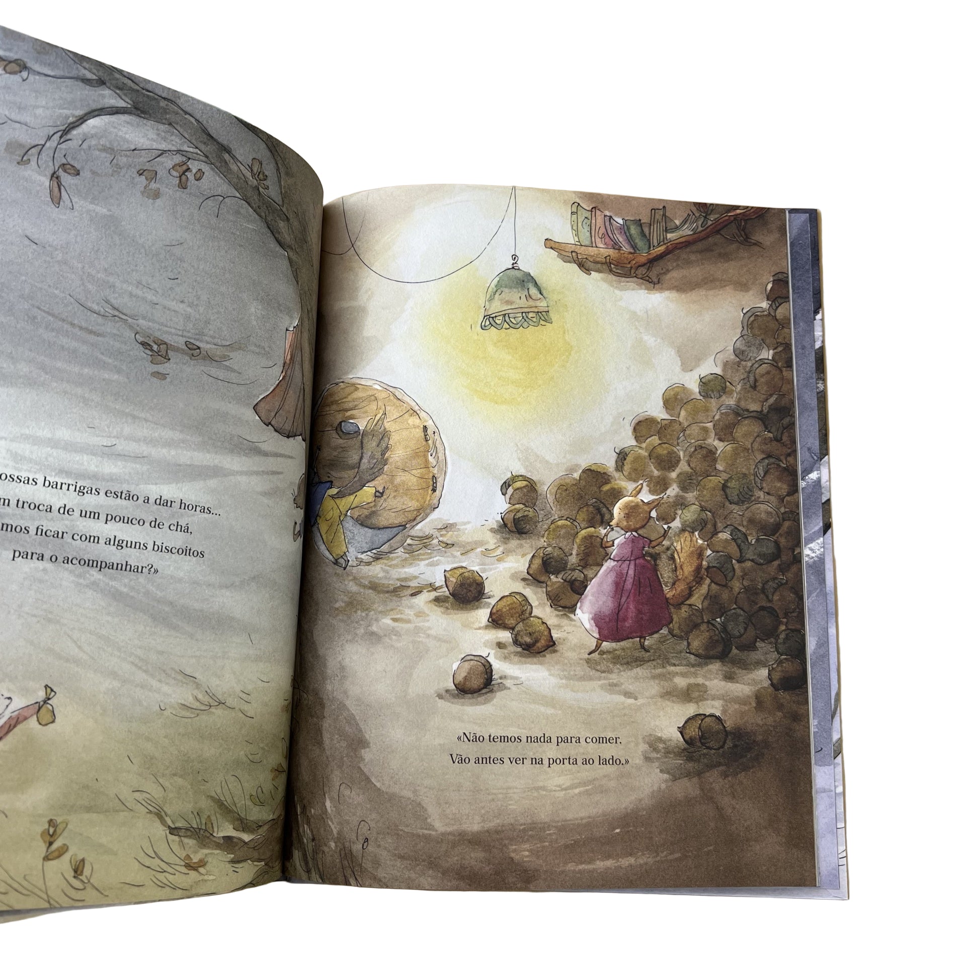  exemplo do interior do livro infantil sobre empatia e generosidade "Abrigo"