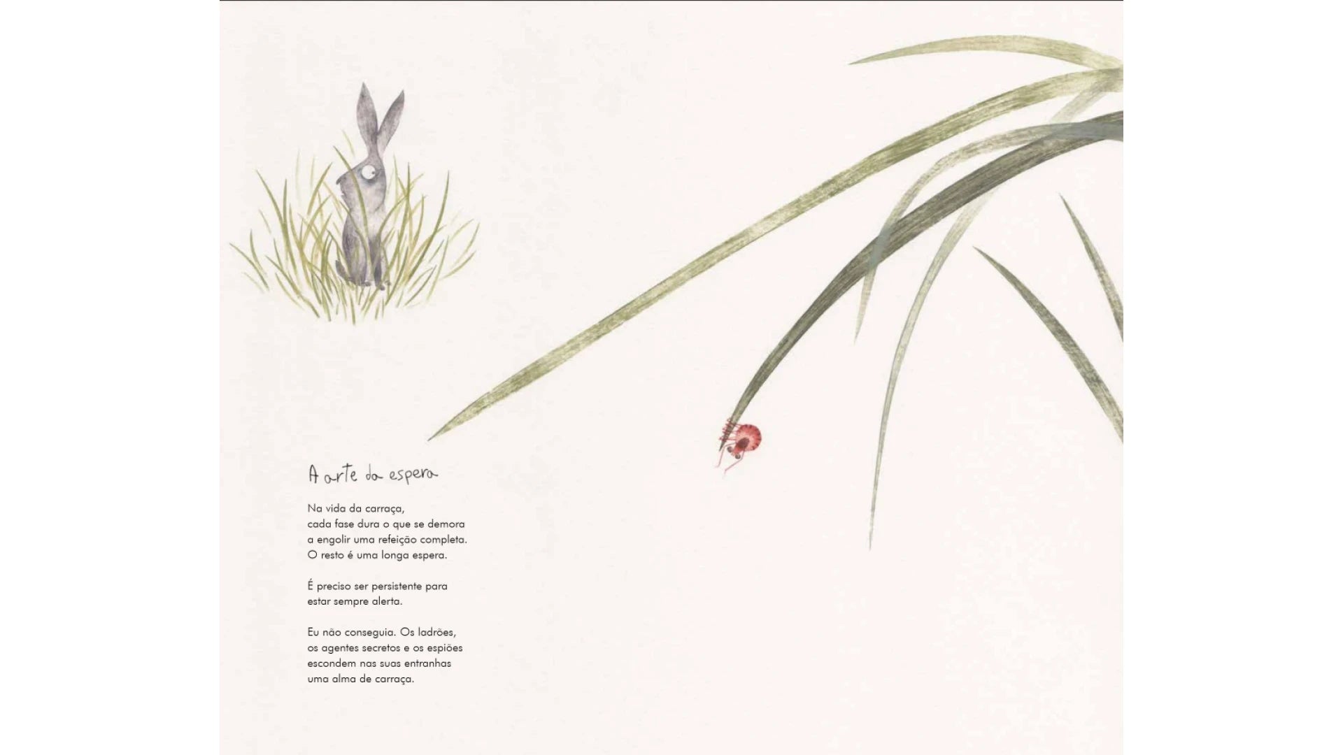 interior do livro de celebração da natureza "Debaixo das pedras"