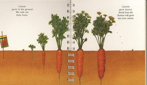 "My First Discoveries – Vegetables" - capa livro infantil sobre vegetais