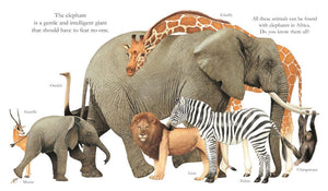 "My First Discoveries – Elephants" - interior do Livro Infantil em Inglês sobre Elefantes