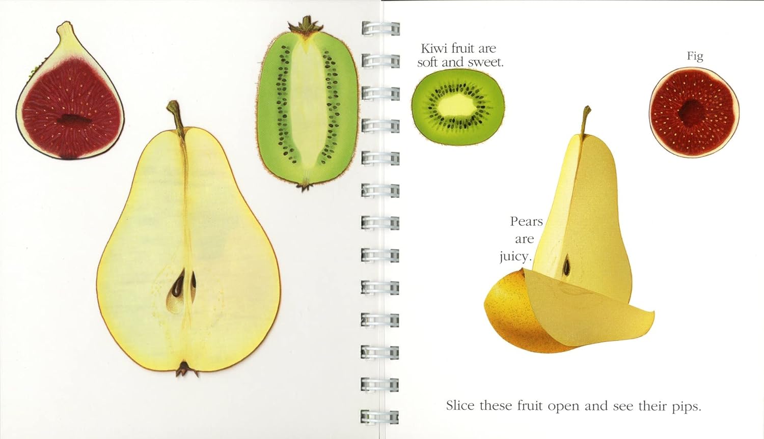 "My First Discoveries – Fruit" - interior do livro infantil em inglês sobre frutas