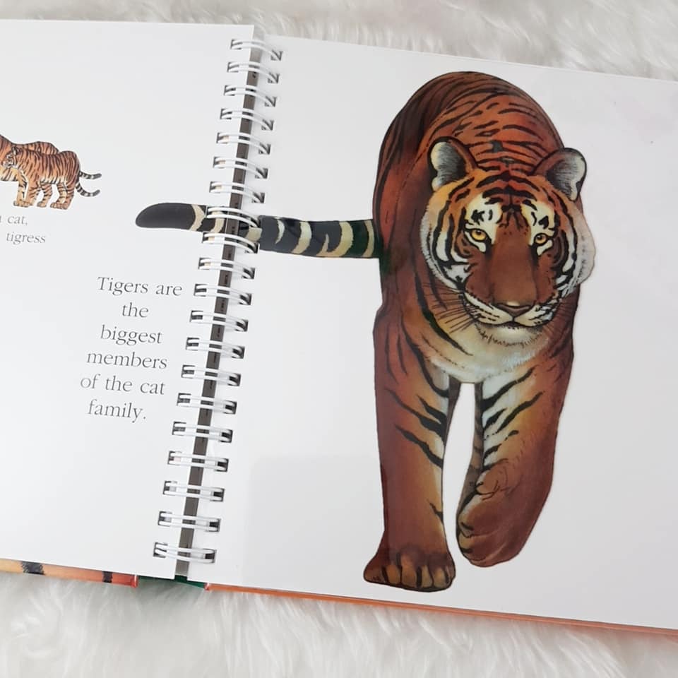 "My First Discoveries –  The Tiger" - exemplo do interior do Livro Infantil em Inglês sobre Tigres