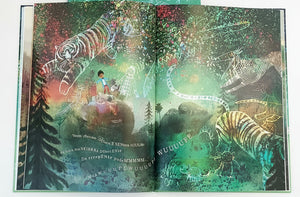 Interior do livro infantil "Sonhador" 