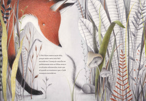 Interior do Livro "Antes de dormir"