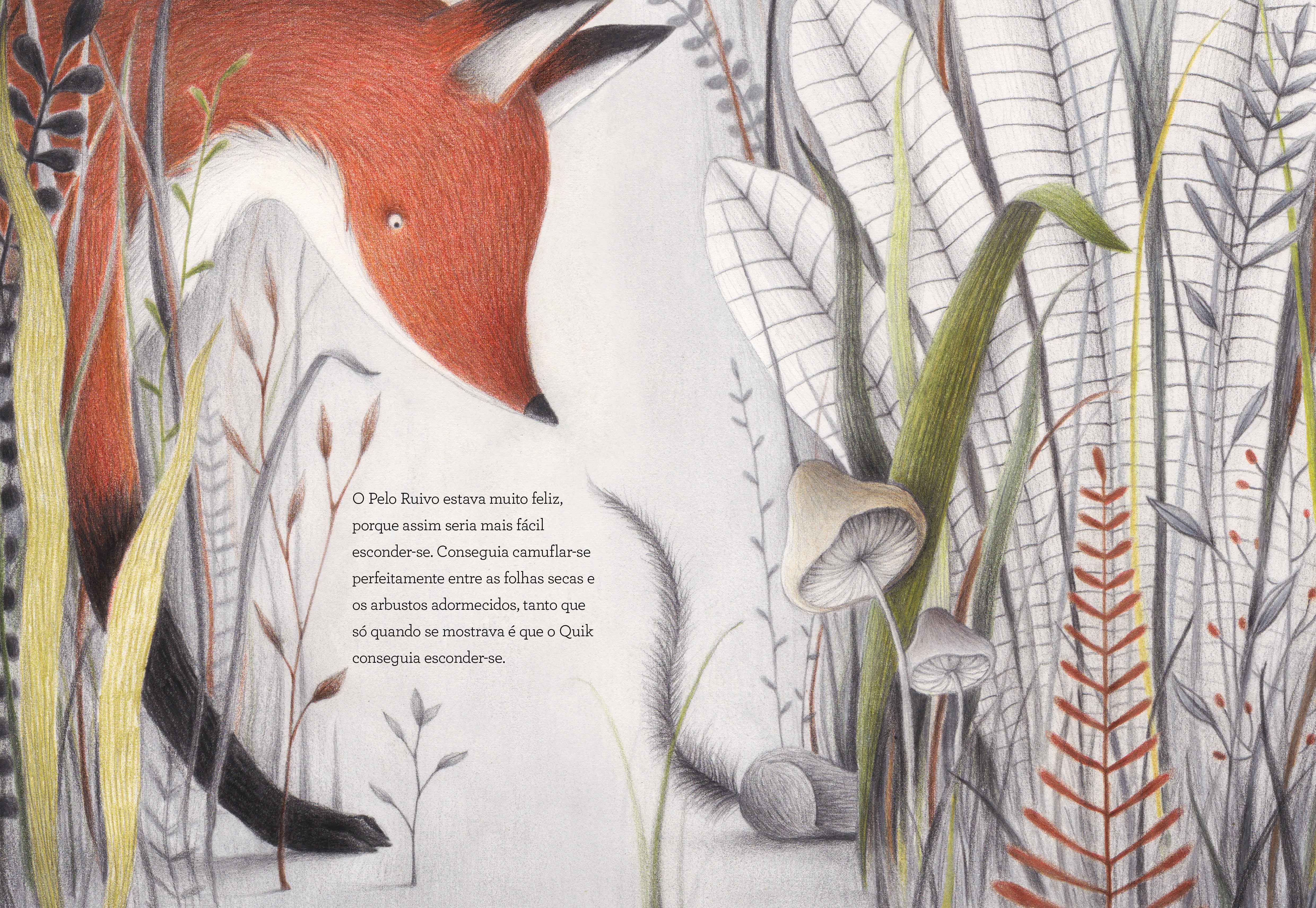 Interior do Livro "Antes de dormir"