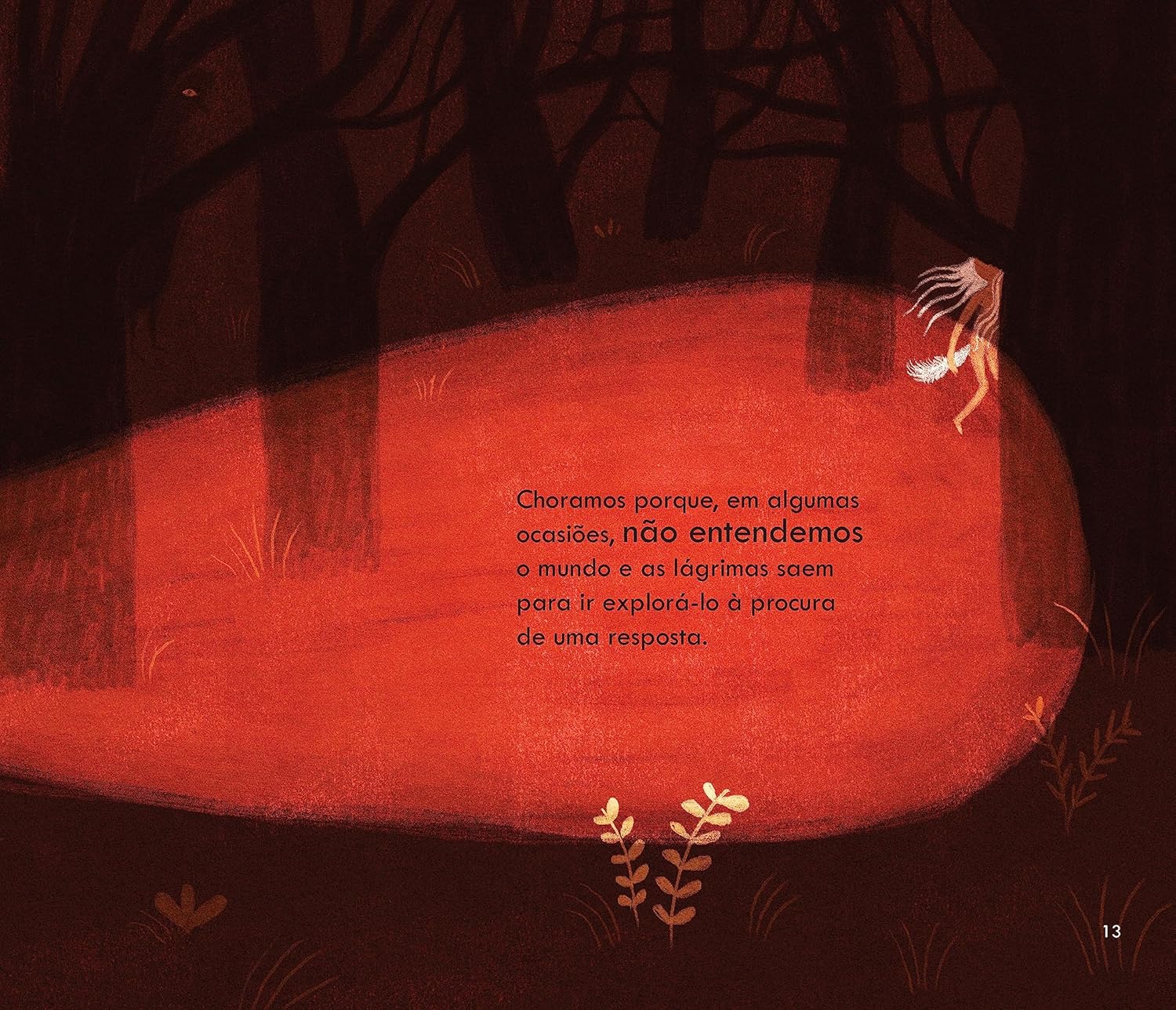 interior do livro "Porque choramos?" 