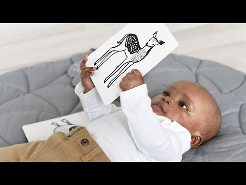 mportância dos cartões de alto contraste no desenvolvimento visual dos bebés